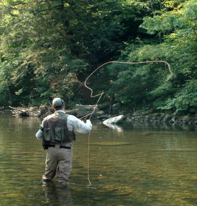 1 year later - Flyfisherman in LWD project site